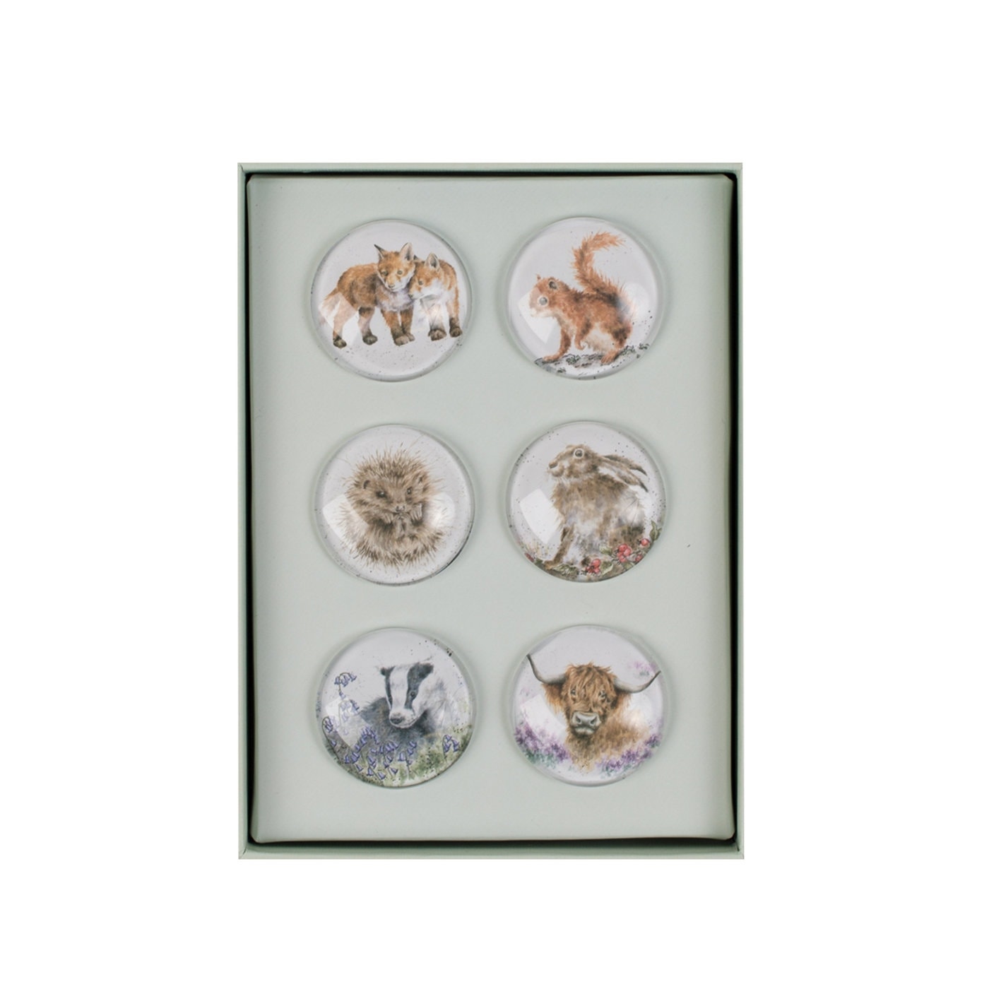 Wrendale Designs Magnet Box (Set of 6)