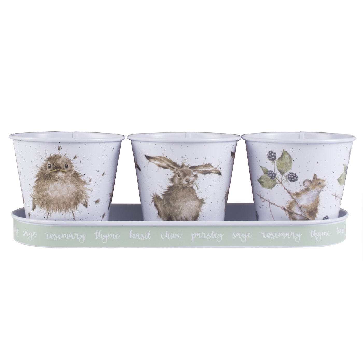 Royal Worcester Wrendale Designs Herb Pots and Tray