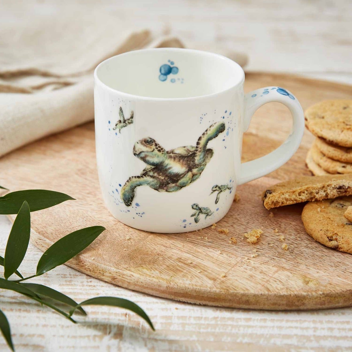 Royal Worcester Wrendale Designs Set of 6 Swimming School Turtle Fine Bone China Mugs
