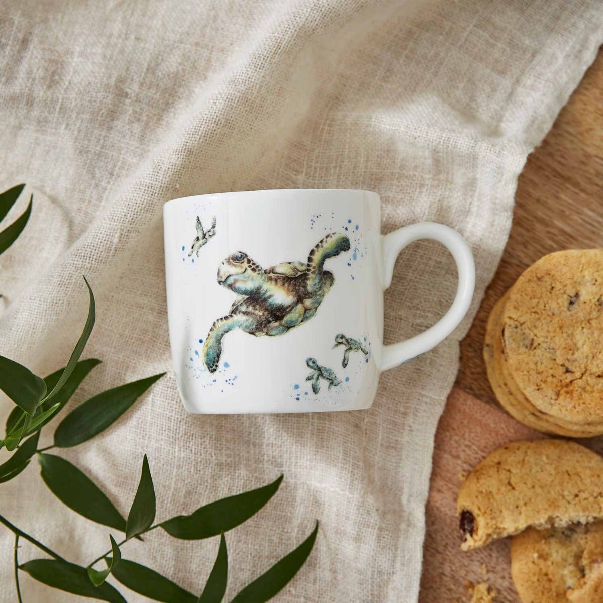 Royal Worcester Wrendale Designs Set of 6 Swimming School Turtle Fine Bone China Mugs