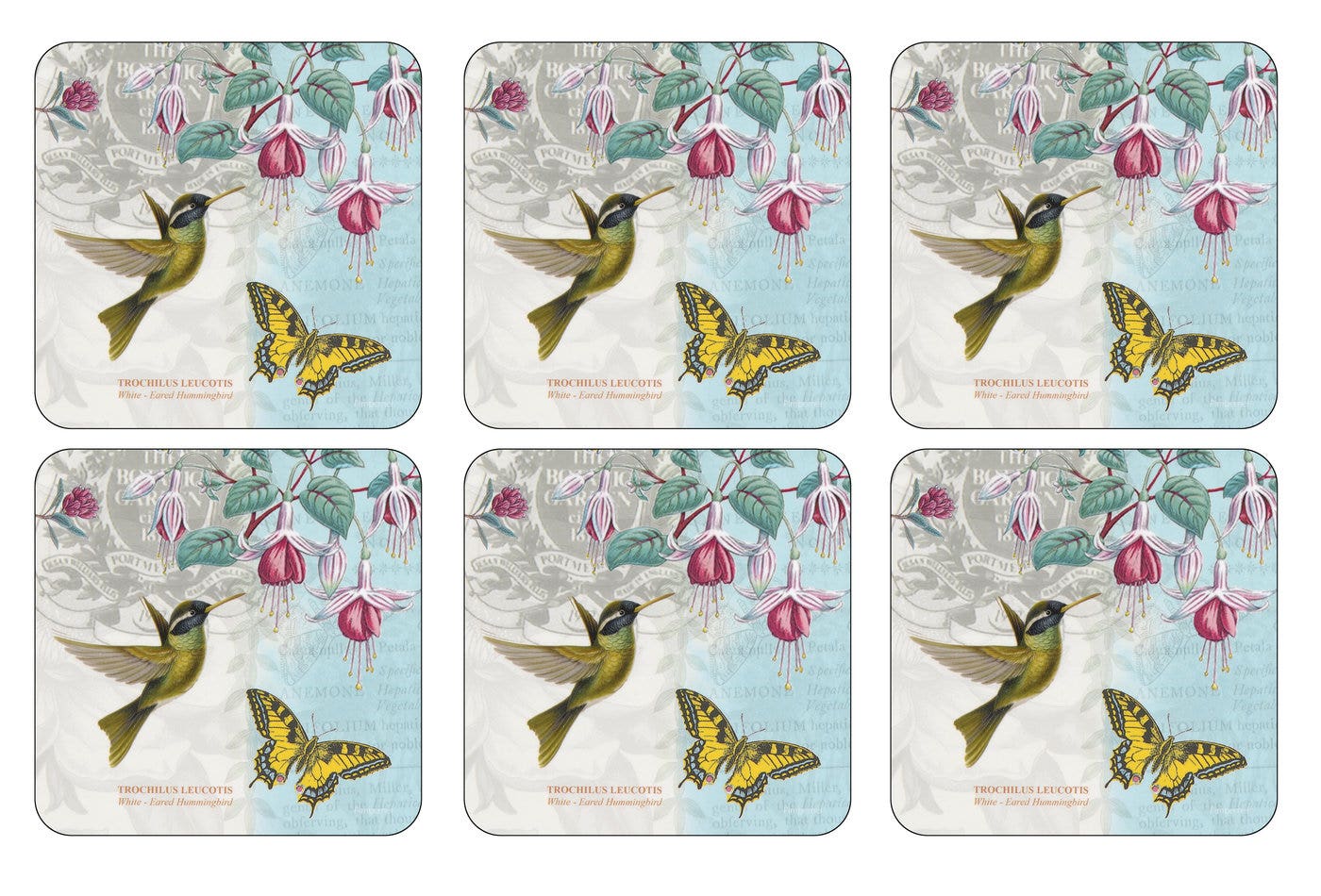 Portmeirion Botanic Garden Hummingbird Coasters Set of 6