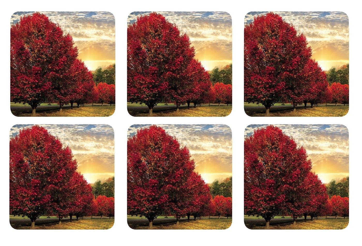 Pimpernel Crimson Trees Placemat Set of 6