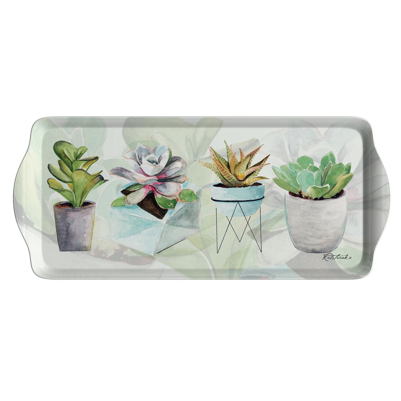 Pimpernel Succulents Sandwich Tray