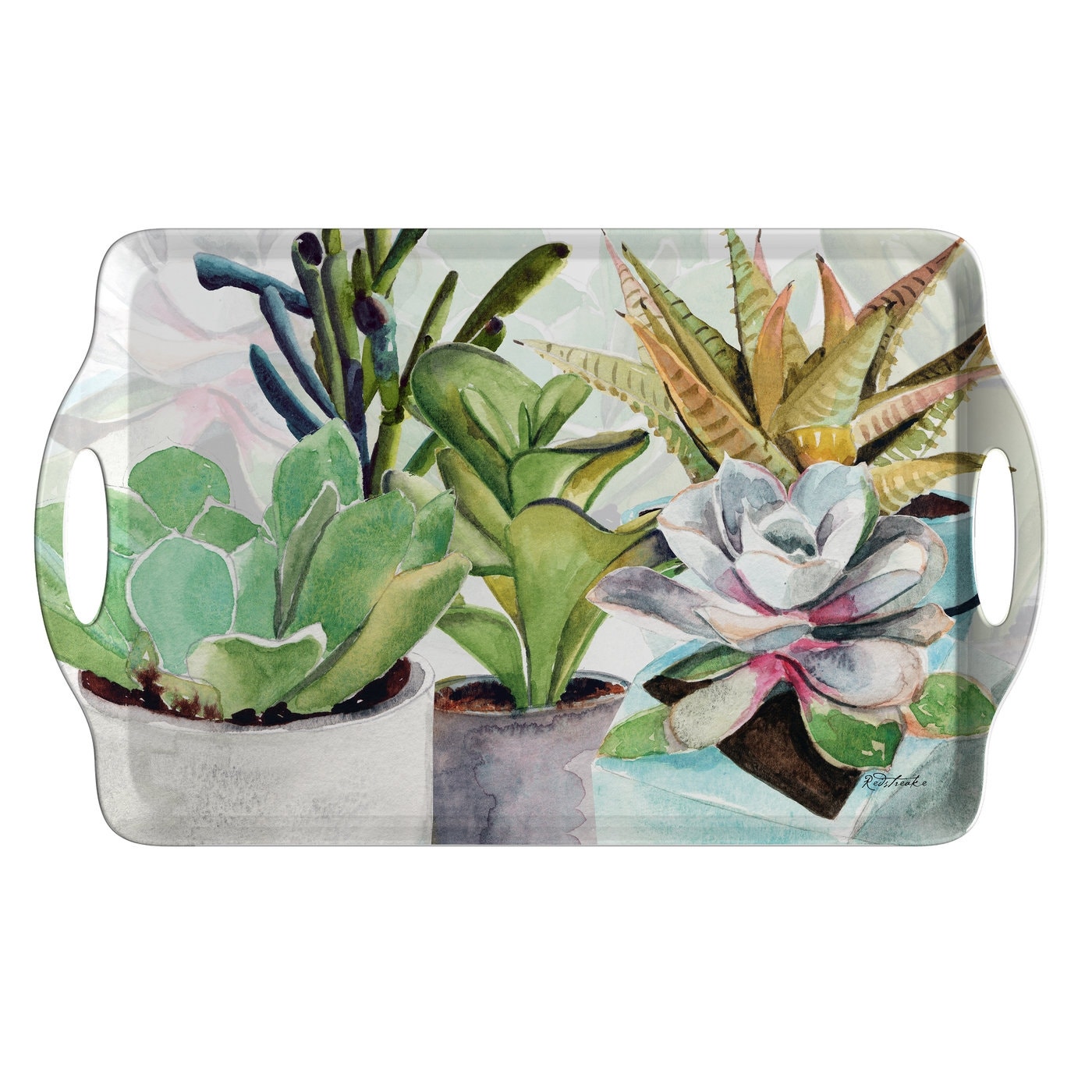 Pimpernel Succulents Large Handled Tray